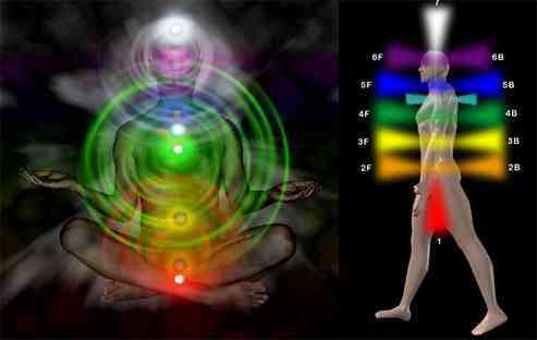 le posiziomi dei chakras a